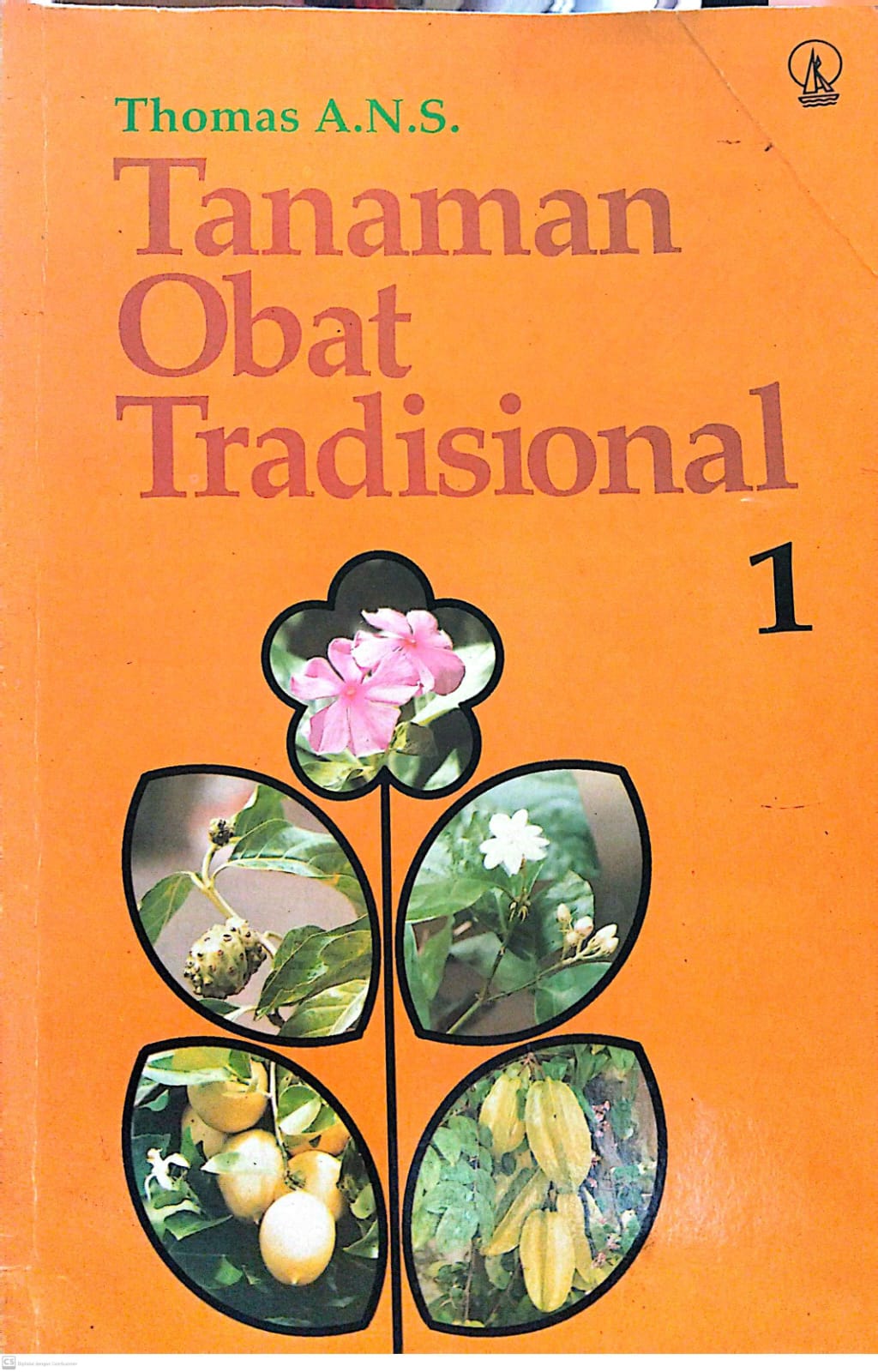 Tanaman Obat Tradisional